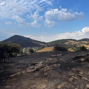 kesanda orman yangini incelemesi 2rxddxby