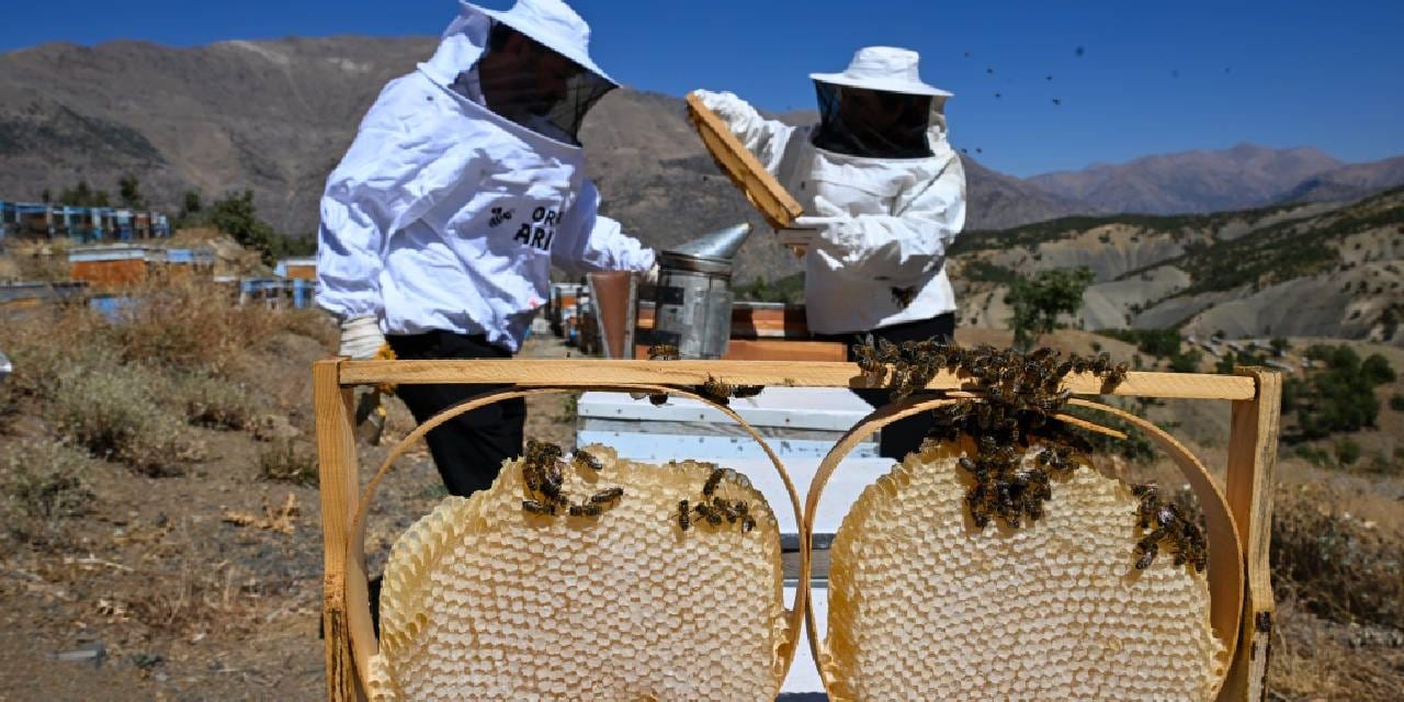 30 kovanla basladilar siparislere yetisemiyorlar P1ecrYJy