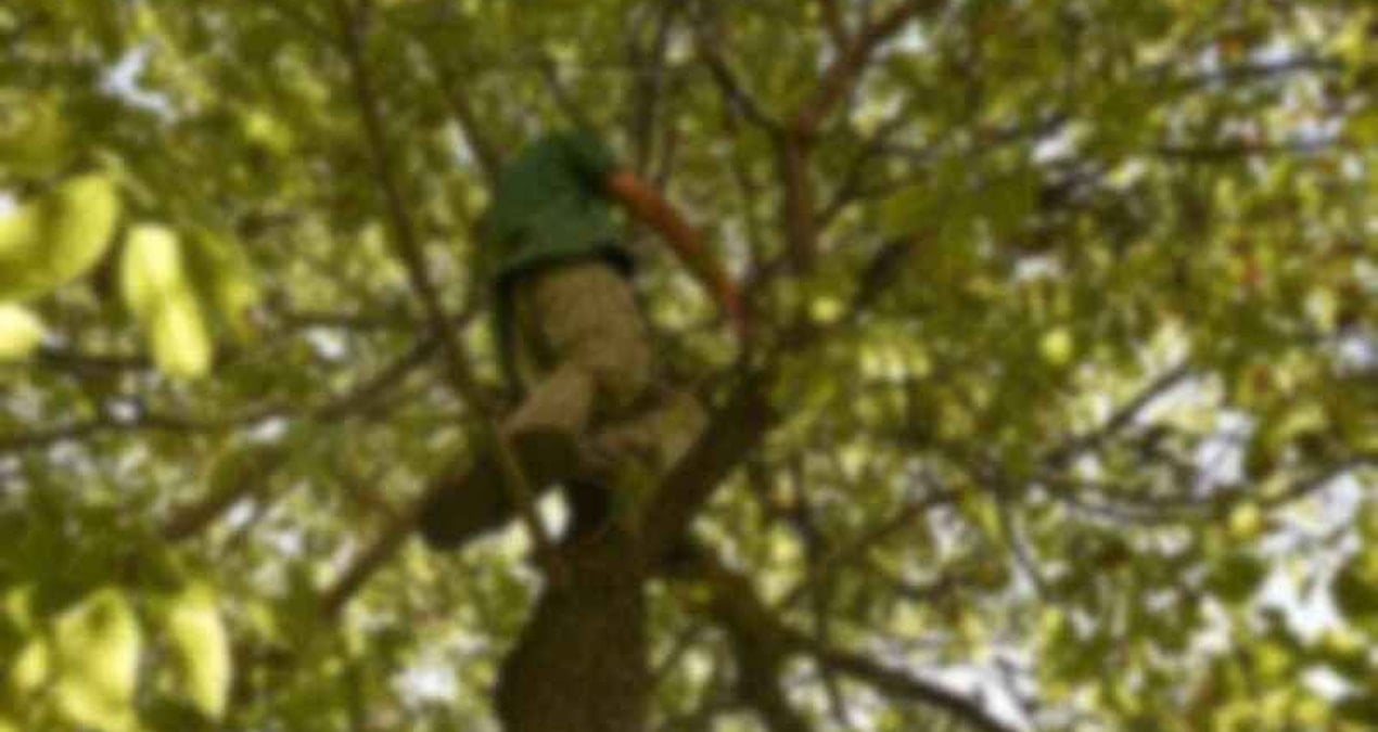 agactan dustu hastanede oldu 1Y3TwhxH