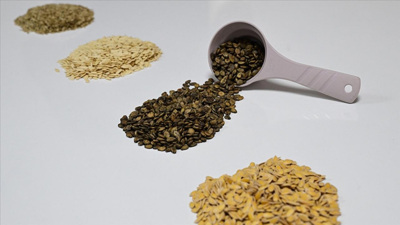 guneydogudan afrikaya hububat ihracati yuzde 189 artti Yi1tHyRt.jpg