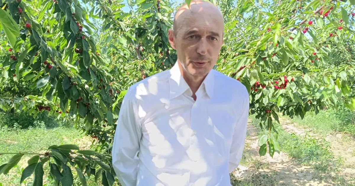 enezde kiraz bahcelerine res koyluleri ayaga kaldirdi vTbbgzde.webp