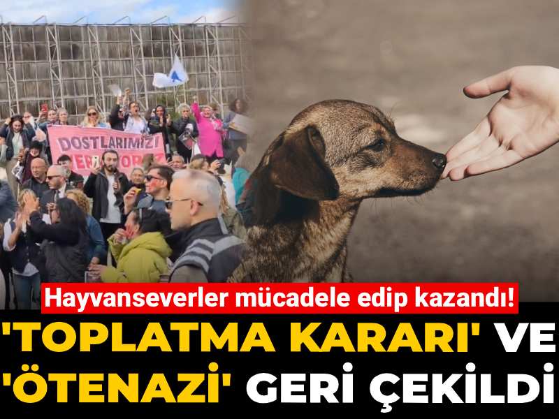 Hayvanseverlerin Zaferi: Toplatma ve Ötenazi Kararları Geri Çekildi