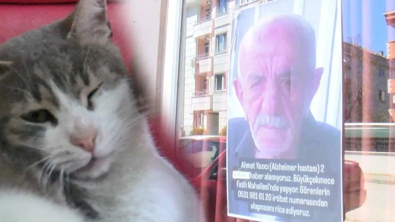 40 Gündür Kayıp Alzheimer Hastası: Yakınları ve Sevimli Kedisi Zilli Umutla Bekliyor