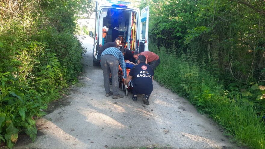 Cide’de Bal Arısı Sokması Sonrası Hastaneye Kaldırılan Kadın