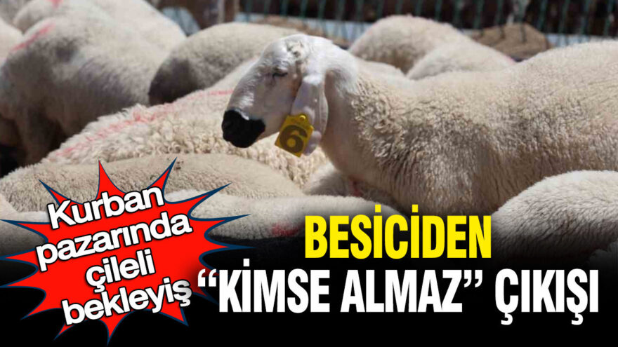 Kurban Pazarında Zorlu Günler: Besiciler Yükselen Maliyetlerden Şikayetçi