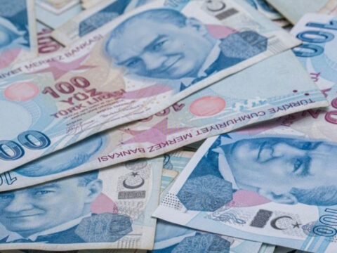 Sindirim Sistemi: İnsan Vücudunda Besin İşleme Süreci